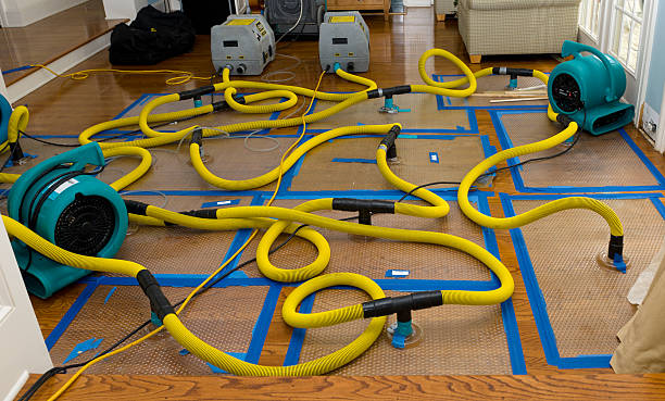 Professional Water Extraction technician working in Kensington, CA